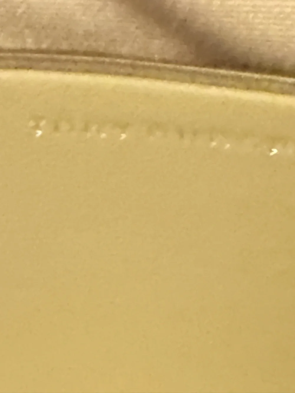 Tory Burch new tags